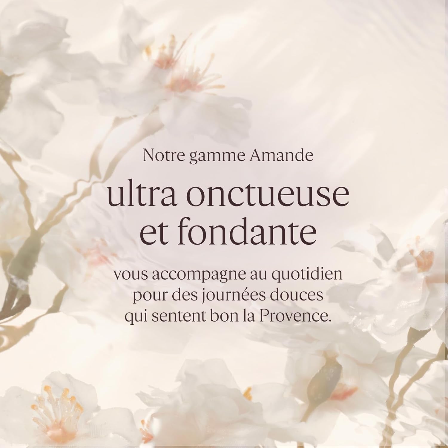 L'OCCITANE - Concentré De Lait Amande - Fabriqué En France