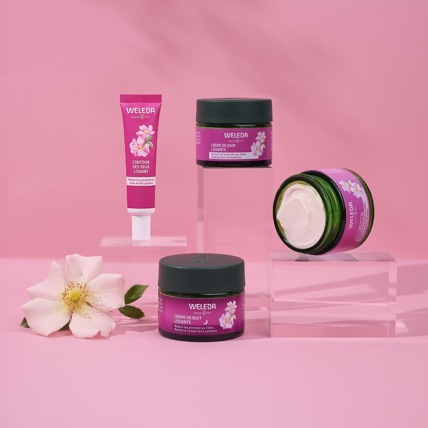 - Crème De Nuit Lissante Rose Musquée + Thé Blanc - 40 Ml | Soin Anti‑Âge Premières Rides, Crème Visage De Nuit, Huile De Rose Musquée Bio, Non Comédogène, NATRUE